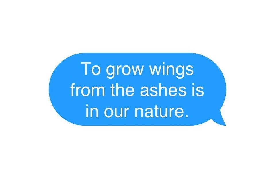 To grow wings from the ashes is in our nature