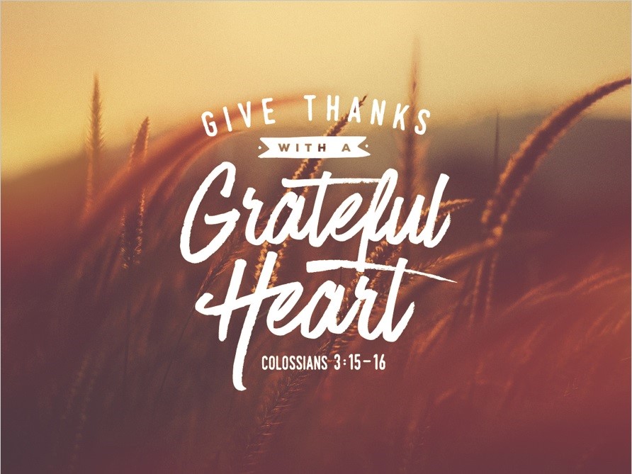 Primate's Thanksgiving Day Message